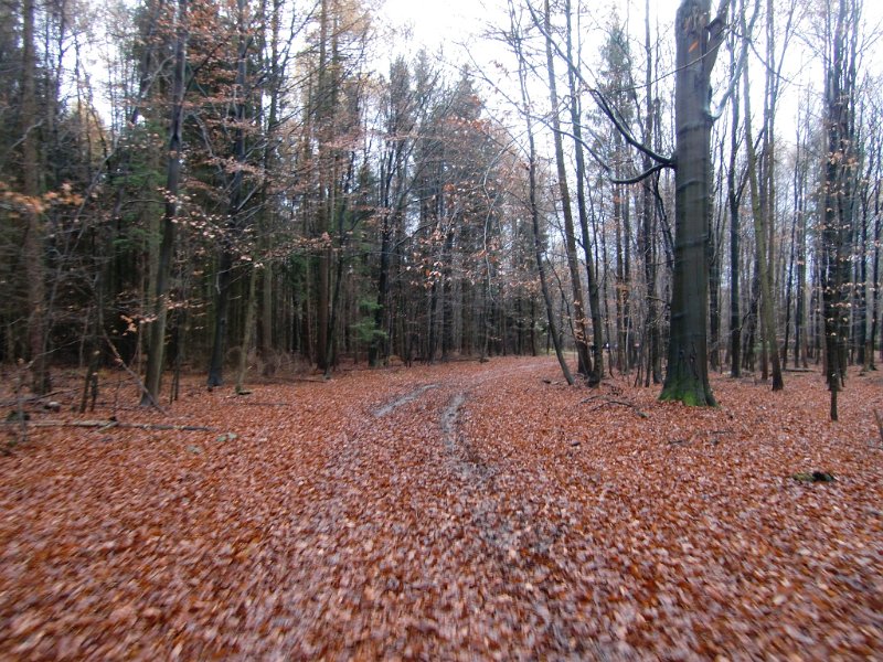 MTB Hoesseringen 2010 063